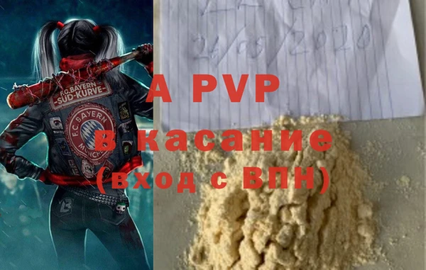 стафф Алзамай