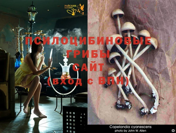 крисы Алексеевка