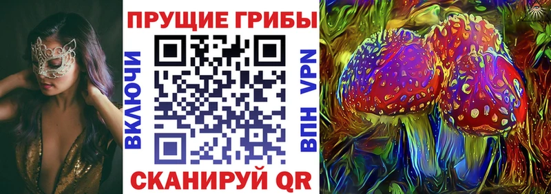 хочу наркоту Мирный Псилоцибиновые грибы мицелий